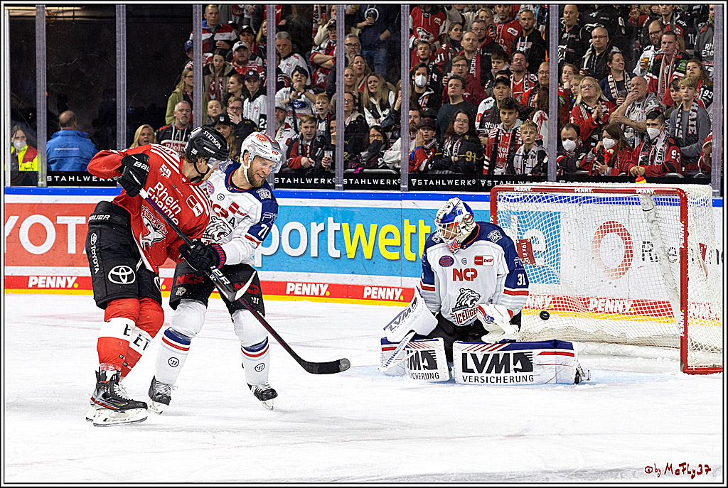 PENNY DEL;  Kölner Haie - Nuernberger Ice Tigers; Köln, 18.11.2022